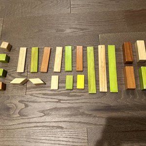 Tegu 22 Piece Set